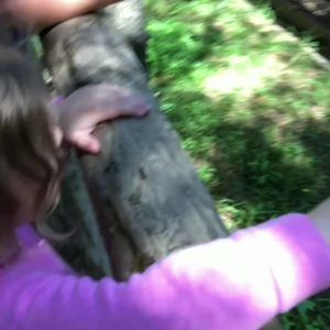 Meet your Posher, Desiree